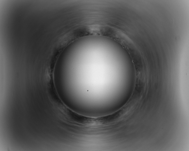 X0000088850702200706081135