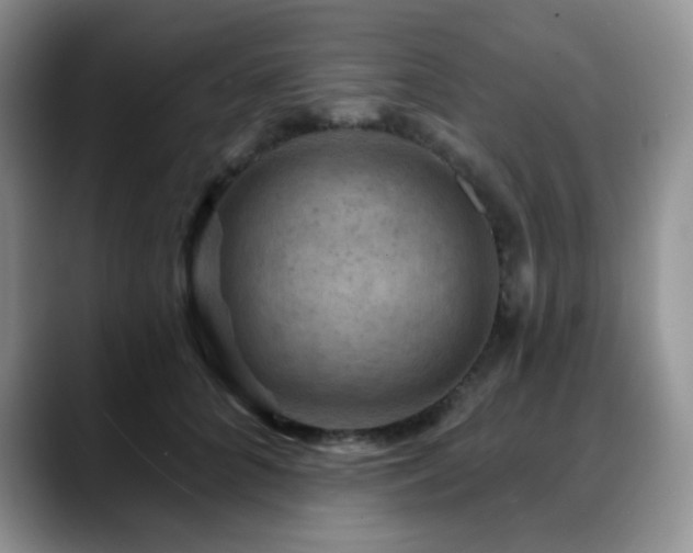 X0000088850704200706081135