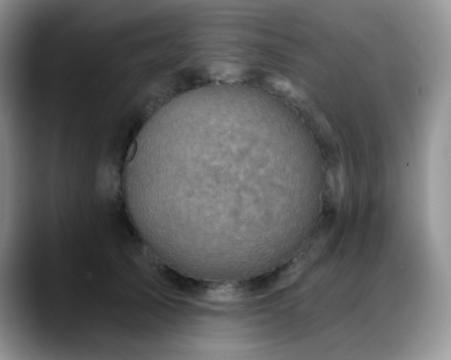 X0000088850705200706081135