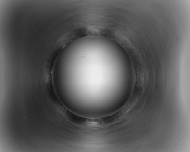 X0000088850706200706081135