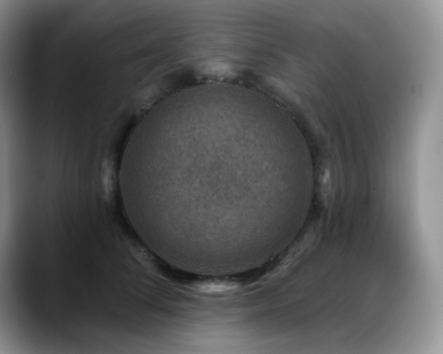 X0000088850708200706081135