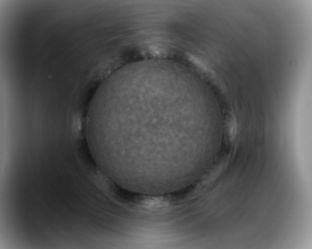 X0000088850709200706081135