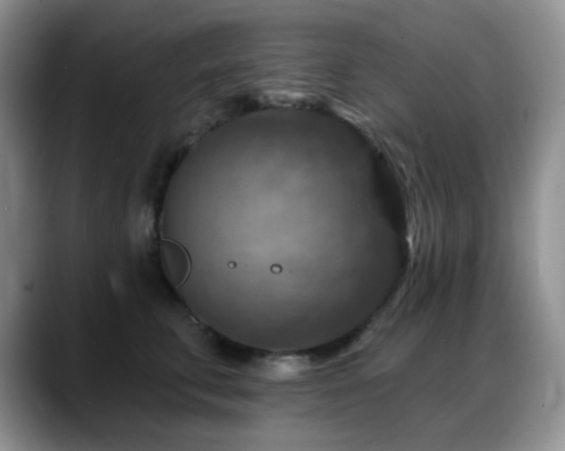 X0000088850711200706081135