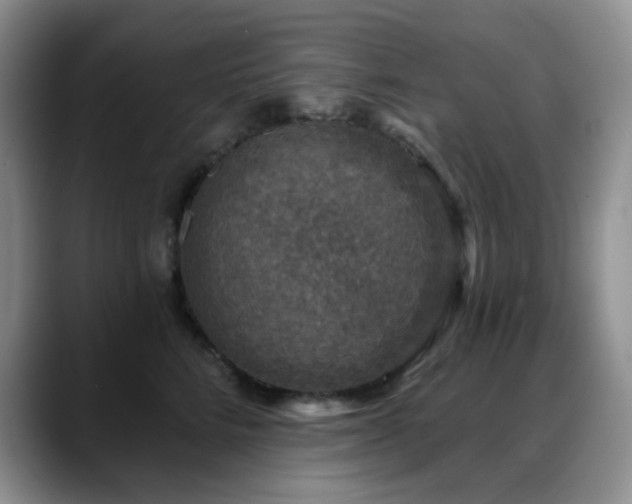 X0000088850712200706081135