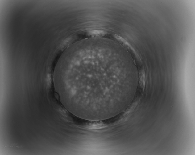 X0000088850716200706081135