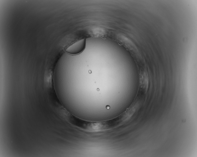 X0000088850717200706081135