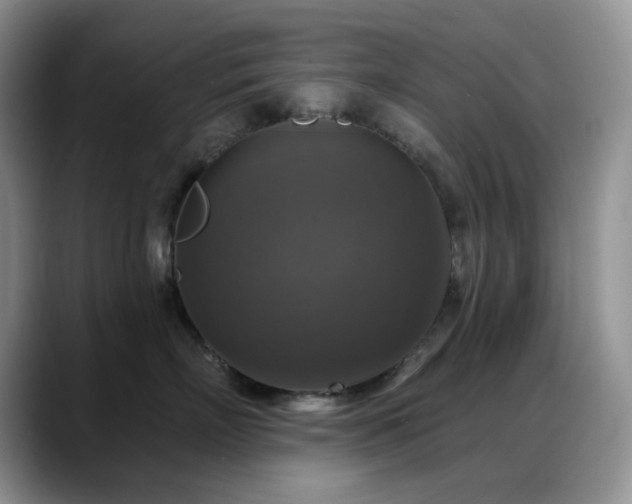 X0000088850718200706081135