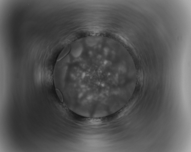X0000088850719200706081135