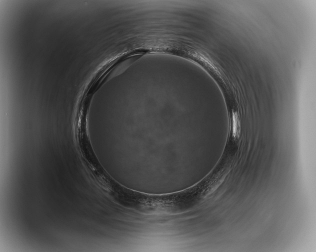 X0000088850723200706081134