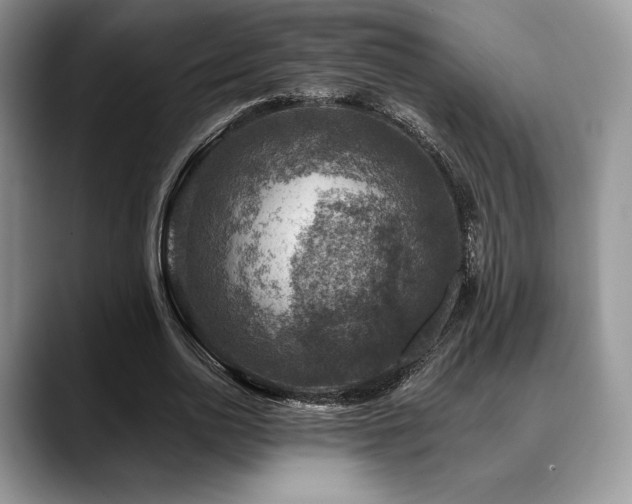 X0000088850726200706081134