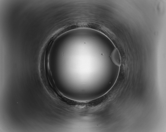 X0000088850728200706081134