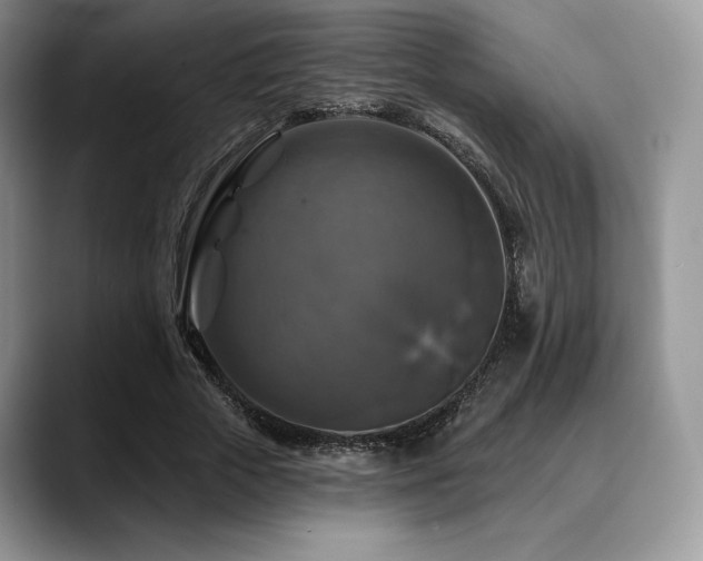 X0000088850729200706081134