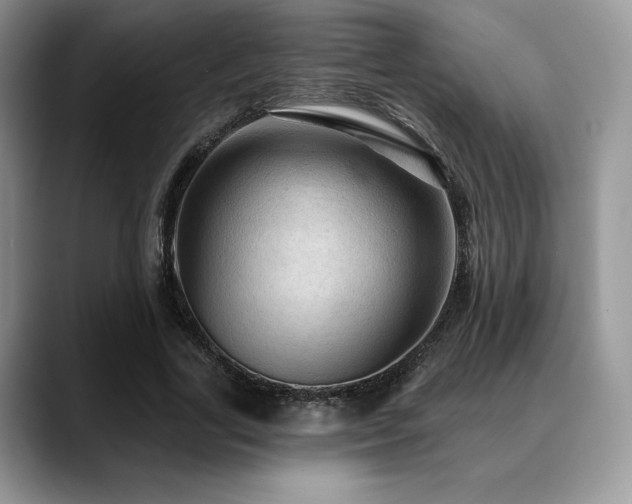 X0000088850731200706081134