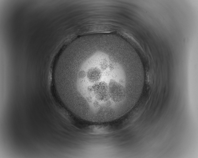 X0000088850733200706081134
