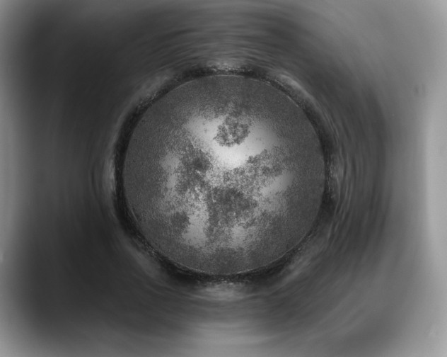 X0000088850734200706081134