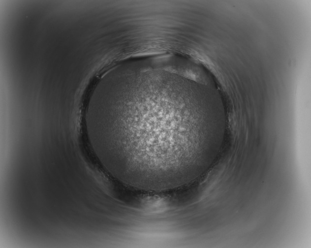 X0000088850735200706081134