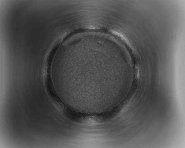X0000088850736200706081134