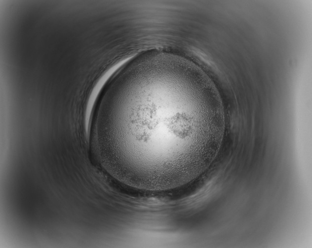 X0000088850737200706081134