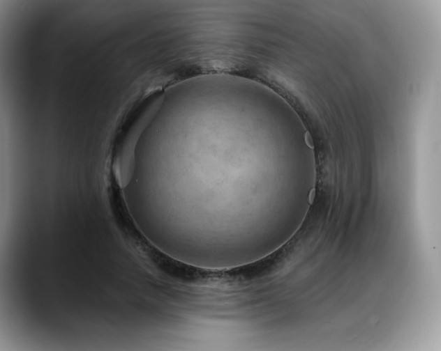 X0000088850738200706081134