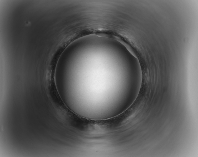 X0000088850739200706081134