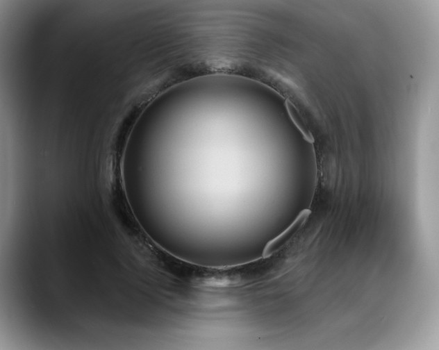 X0000088850740200706081134