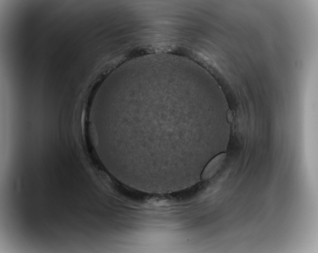 X0000088850742200706081134