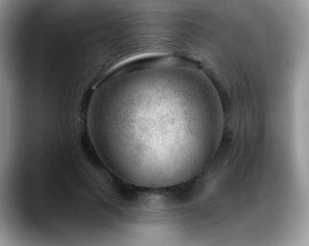 X0000088850743200706081134
