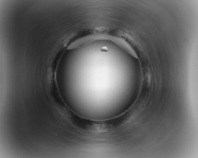 X0000088850744200706081134