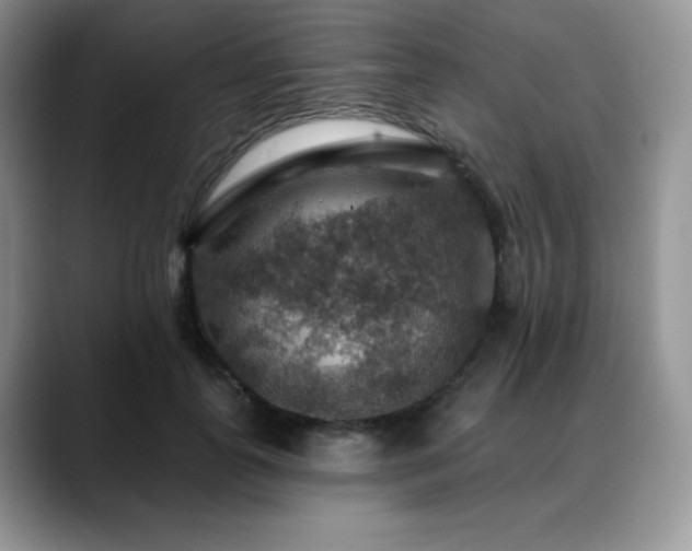 X0000088850747200706081134