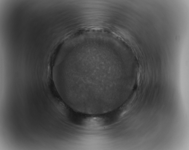 X0000088850748200706081134