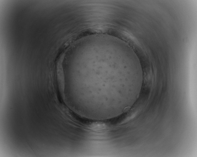 X0000088850749200706081134