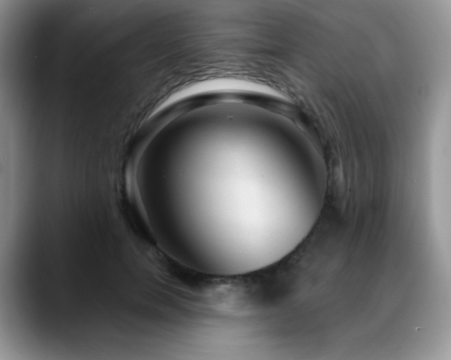X0000088850750200706081134