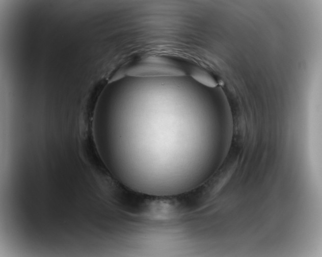 X0000088850751200706081134