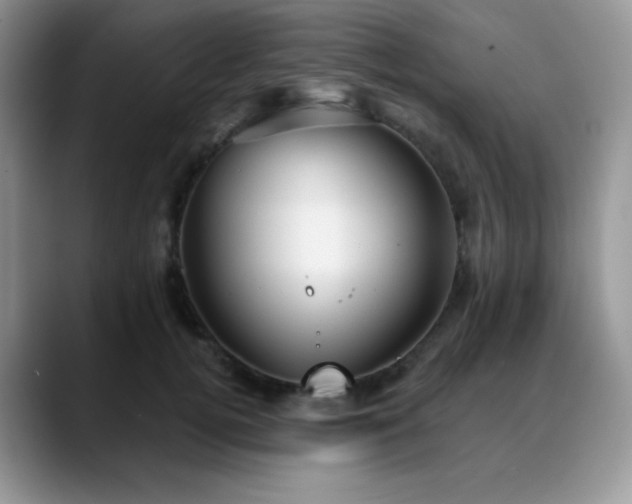 X0000088850752200706081134