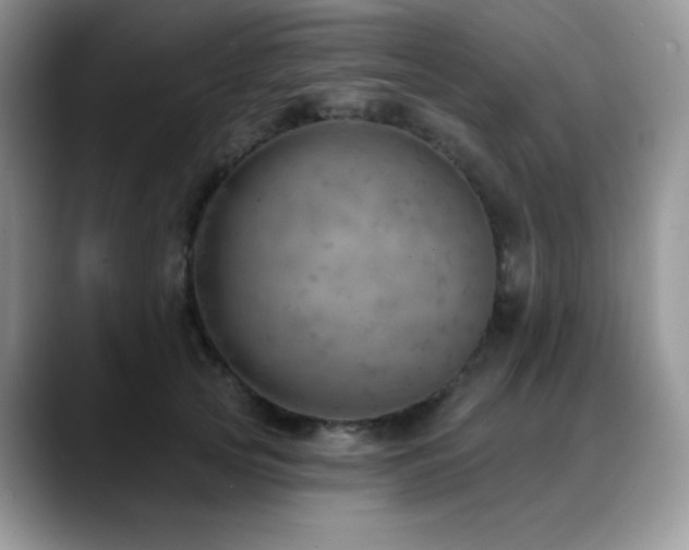 X0000088850753200706081134