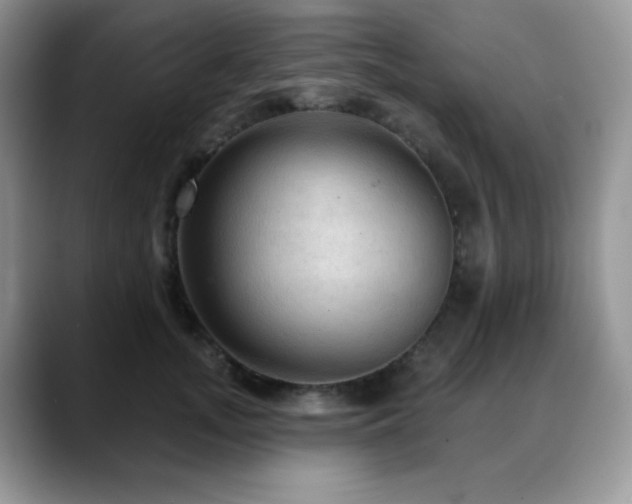 X0000088850755200706081134