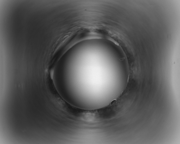 X0000088850756200706081134