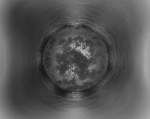X0000088850758200706081134