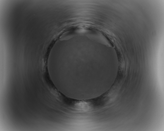 X0000088850759200706081134