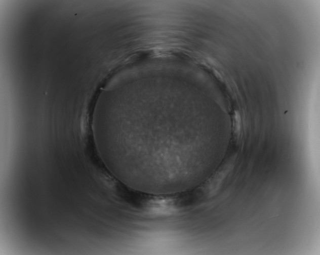X0000088850760200706081134