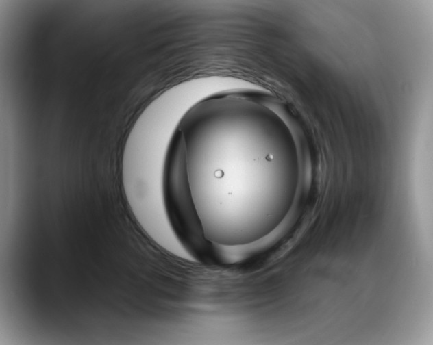X0000088850762200706081134