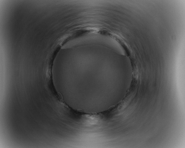 X0000088850763200706081134