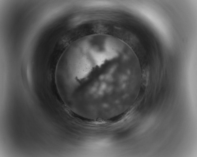X0000088850765200706081135