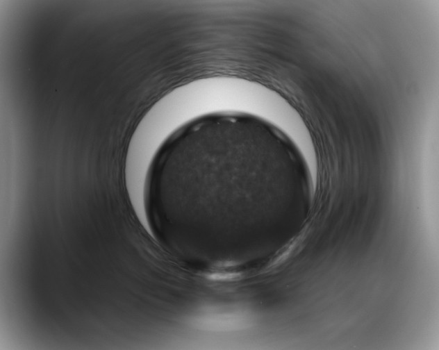 X0000088850766200706081135