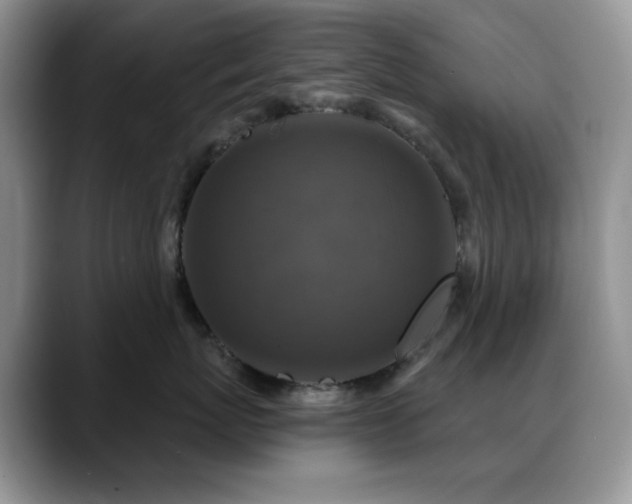 X0000088850767200706081135
