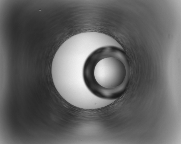 X0000088850768200706081135