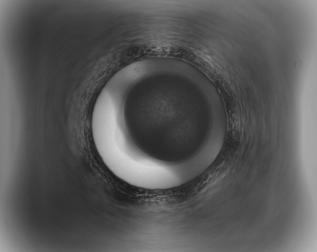 X0000088850769200706081134