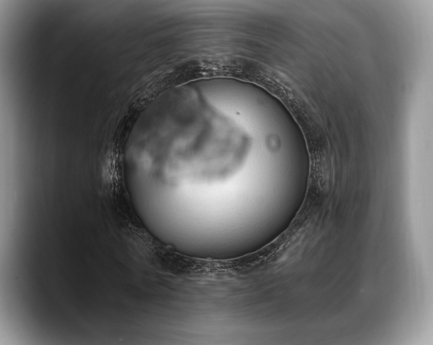 X0000088850770200706081134