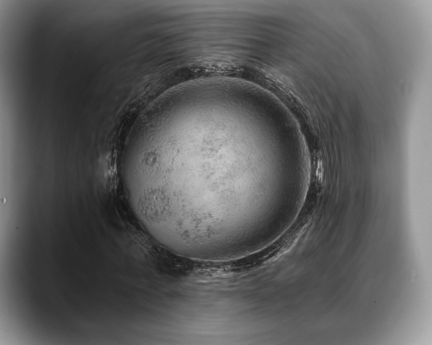 X0000088850771200706081134