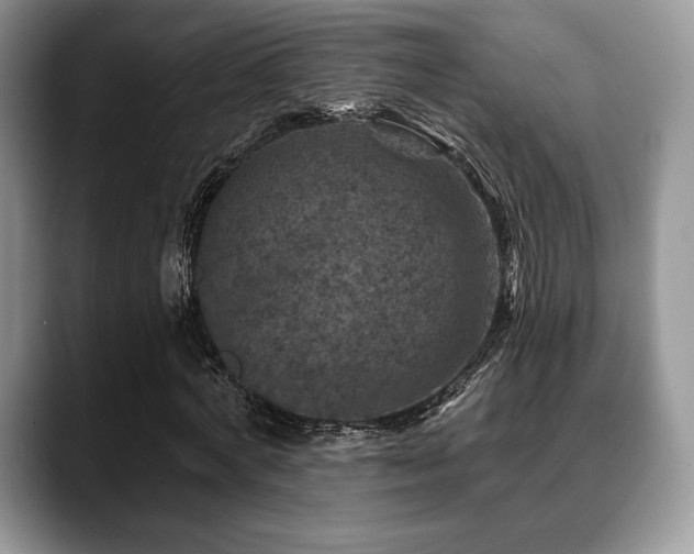 X0000088850772200706081134